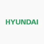 Hyundai Fit icon