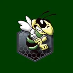 Wellsboro Hornets icon