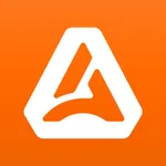 ANCEL BM300 Pro icon