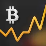 Paybis BTC,ETH Crypto Tracker icon