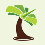 FMS Bình Thuận icon