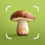 Mushroom ID: Forage Identifier icon