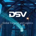 DSV Global IT Supporter icon