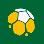 Placar de Futebol Ao Vivo icon