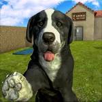 Animal Care Shelter icon