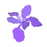 Project Iris - Watch Browser icon