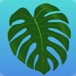 Plant Therapy: NYC Edition icon