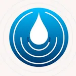 洞识：15分钟摘要 icon