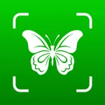 Bug Identifier: Insect Finder icon