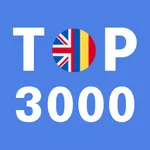 Most Common Romanian Words icon