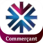 QNBT Commerçant icon