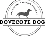 Dovecote Dogs Academy icon