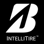 Intellitire Install icon