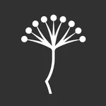 Festival de Málaga Oficial icon