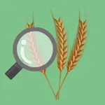 Gluten Spotter icon