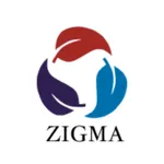 Zigma Work Pro icon