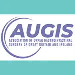 AUGIS icon