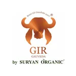 GIR Gauveda icon