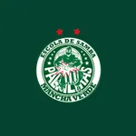 Mancha Verde Bank icon