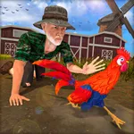 Chicken Hide And Seek icon