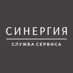 Синергия icon