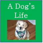 Dog's Life - Sudoku icon