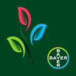 Colti-Bayer icon