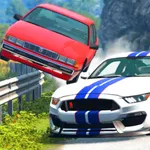 Vehicle Crash Test Simulator icon