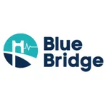 BlueBridge icon