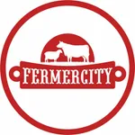 FERMERСITY icon
