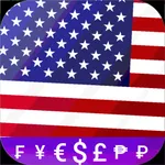 Fast US Dollar USD converter icon