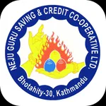 Neju Guru mBank icon