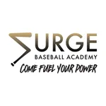 Surge Baseball icon