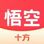 十方悟空写作 icon