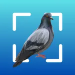 Bird identifier by picture icon