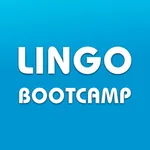 Lingo Bootcamp: Master English icon
