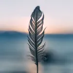 20 Minute Miracles icon