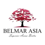 Belmar Asia icon