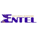 Entel Security - access icon