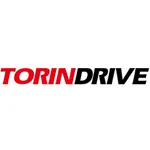 TORIN DRIVE SYSTEMS LLP icon
