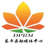 东平手机台 icon