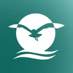 Närvaro i nuet icon