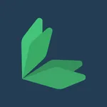 Sueldo icon