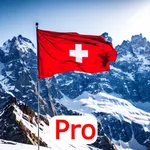 Einbürgerung Schweiz - Pro icon