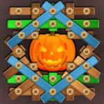 Wood Bolts Brain Puzzle Tease icon