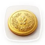 Money tracker - Windfall icon
