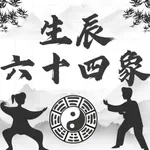生辰六十四象 icon