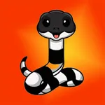 银环蛇-开始交易计划吧 icon