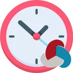 Control Horas Ceginfor icon