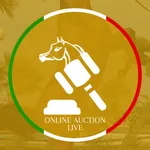 MG Online Auction icon